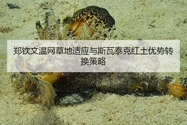 郑钦文温网草地适应与斯瓦泰克红土优势转换策略