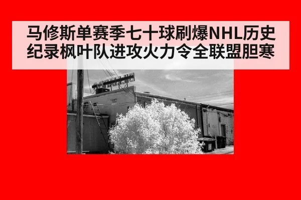 马修斯单赛季七十球刷爆NHL历史纪录枫叶队进攻火力令全联盟胆寒